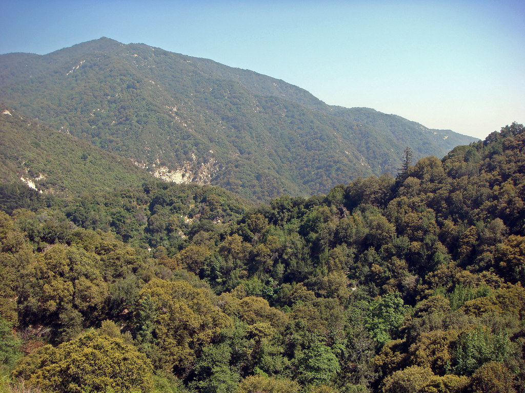 50 Gabrielino Trail to Spruce Grove - View to San Gabriel Valley (E)