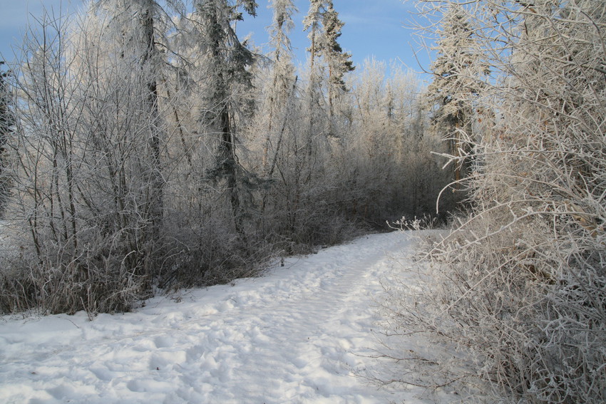 spruce grove snow removal