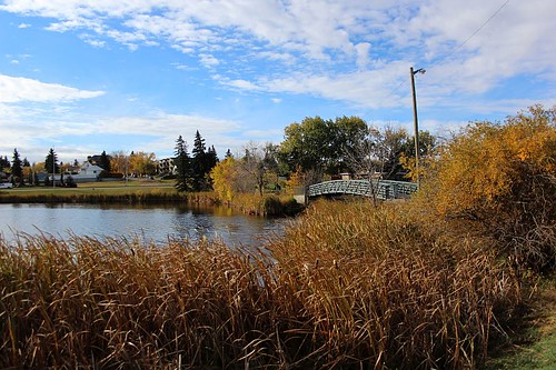 Mirror Lake, Camrose