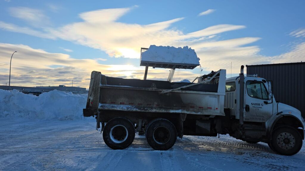 WhatsApp Image 2026-02-04 at 11.59.47 AM